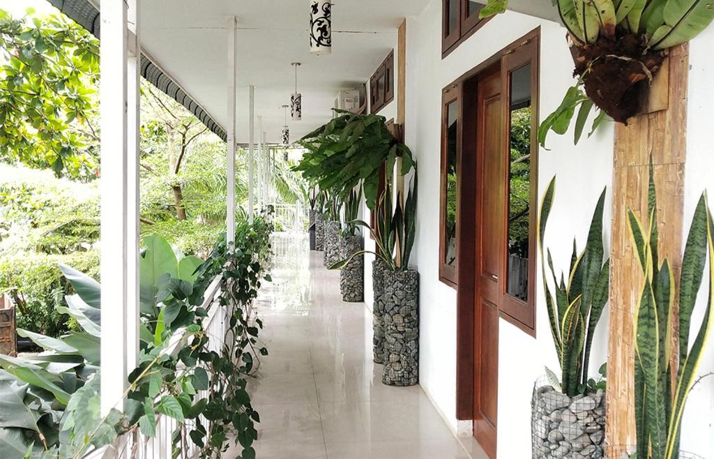 New The Heritage Resort & Restaurant Bukit Lawang Bandartelu Екстериор снимка