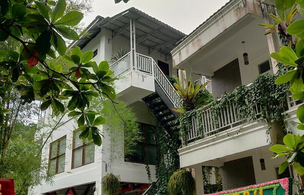 New The Heritage Resort & Restaurant Bukit Lawang Bandartelu Екстериор снимка