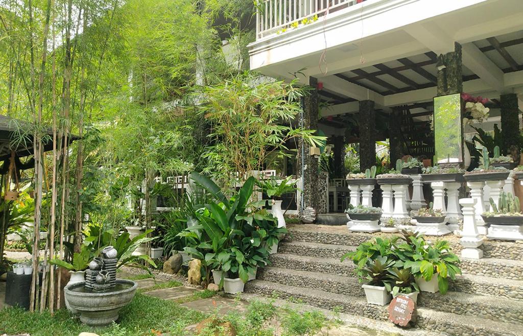 New The Heritage Resort & Restaurant Bukit Lawang Bandartelu Екстериор снимка